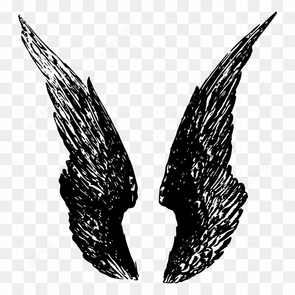 Wings black and white