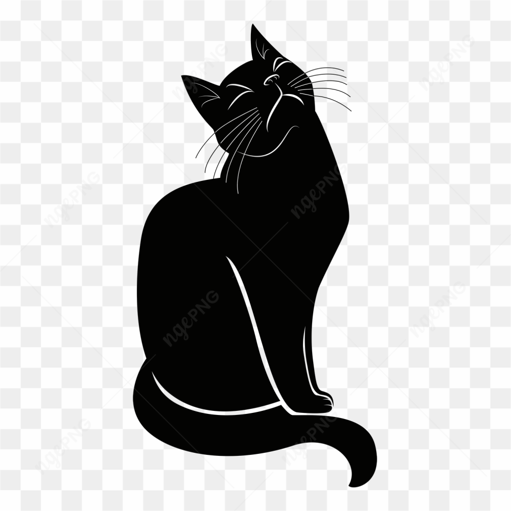 Cat relax face