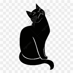 Cat relax face