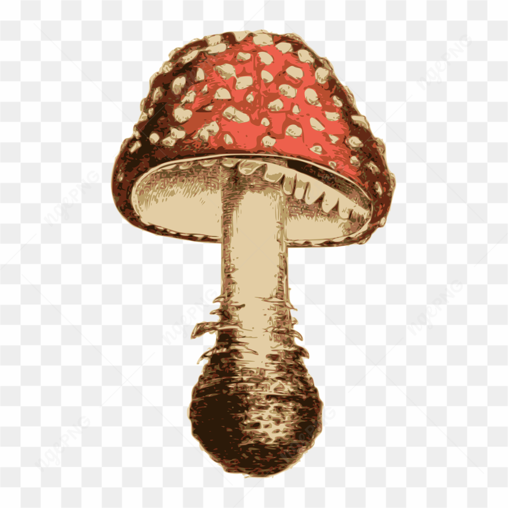 Cogumelo red and white