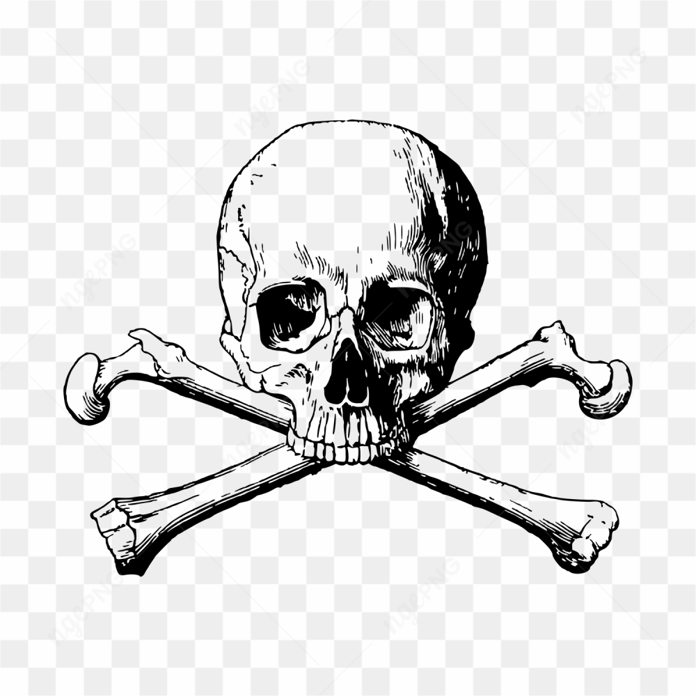 Pirate black white skull