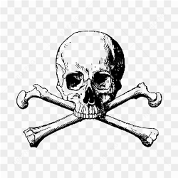Pirate black white skull