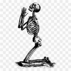 Skeleton please help