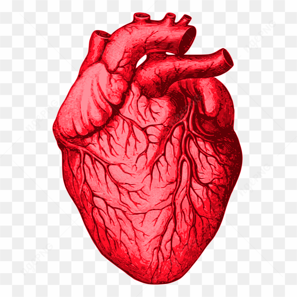 Heart red quality