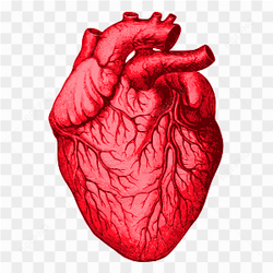 Heart red quality