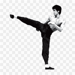 Bruce Lee Png Hd
