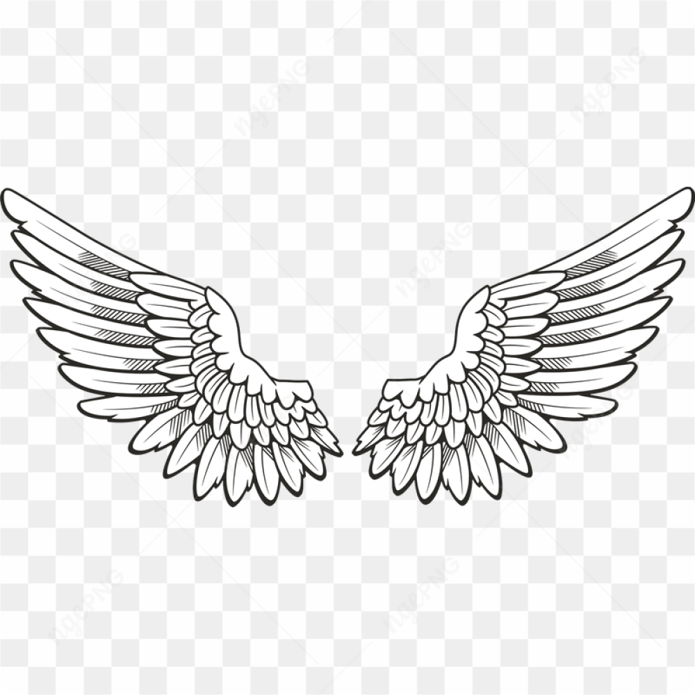 Angel Halo Wings Free Download