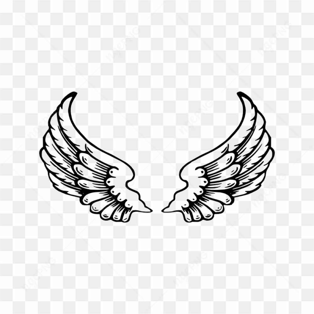 Angel Halo Wings Transparent Background