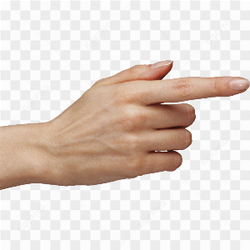 Hands Png Hand Image