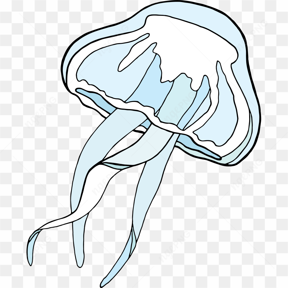 Underwater Animal 1