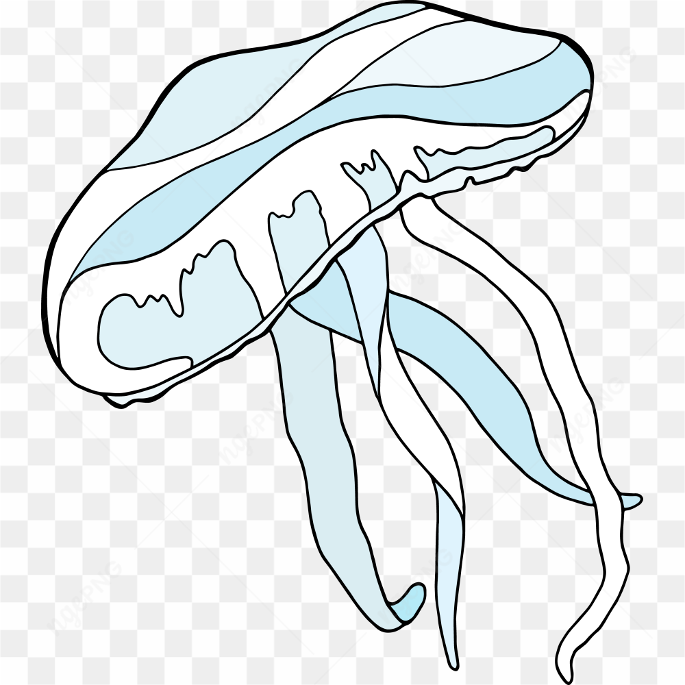 Underwater Animal 3