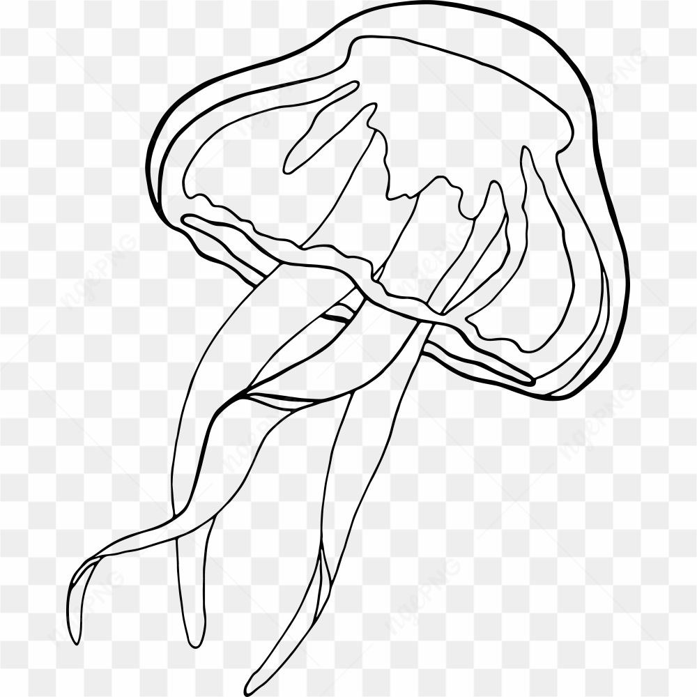 Underwater Animal 4