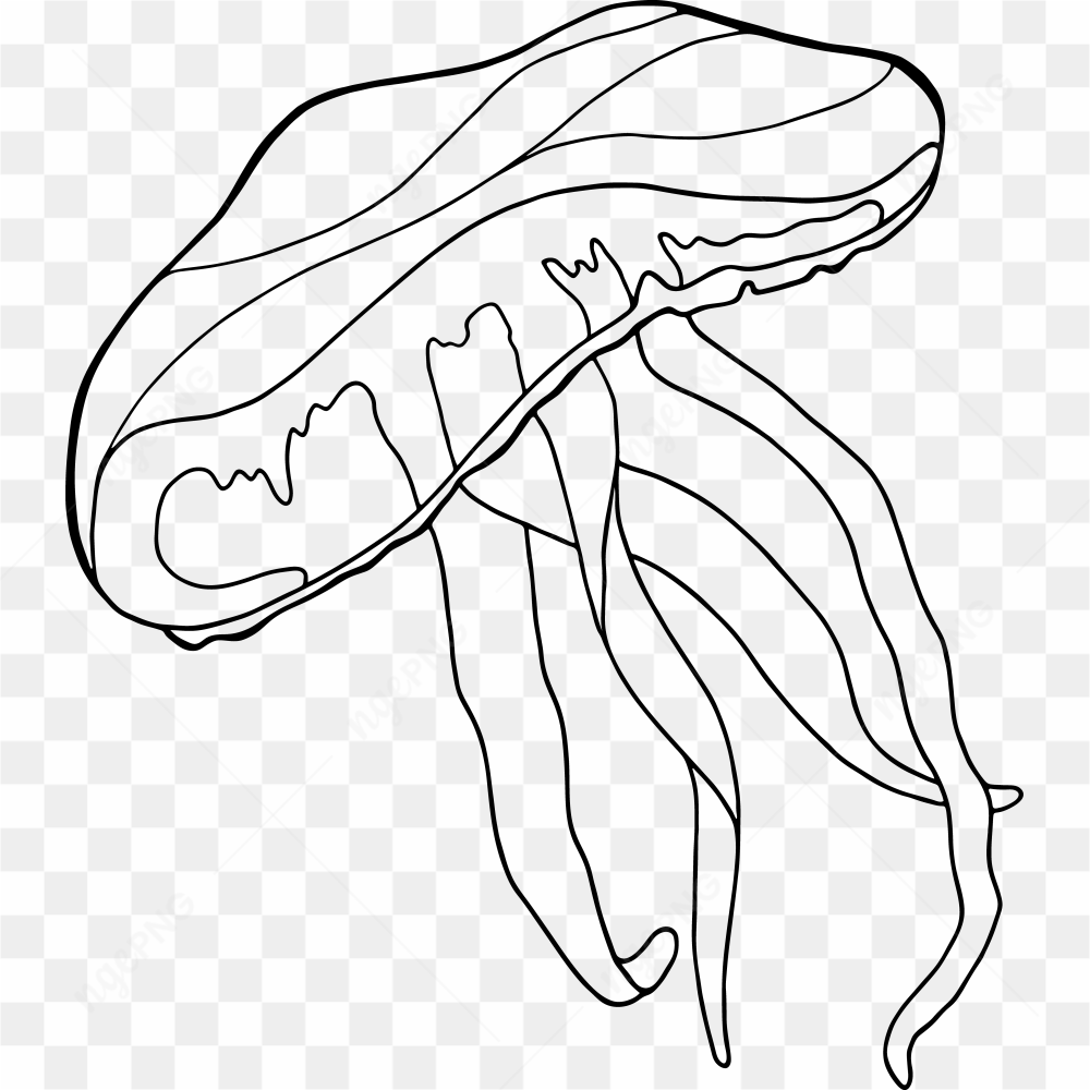 Underwater Animal 6