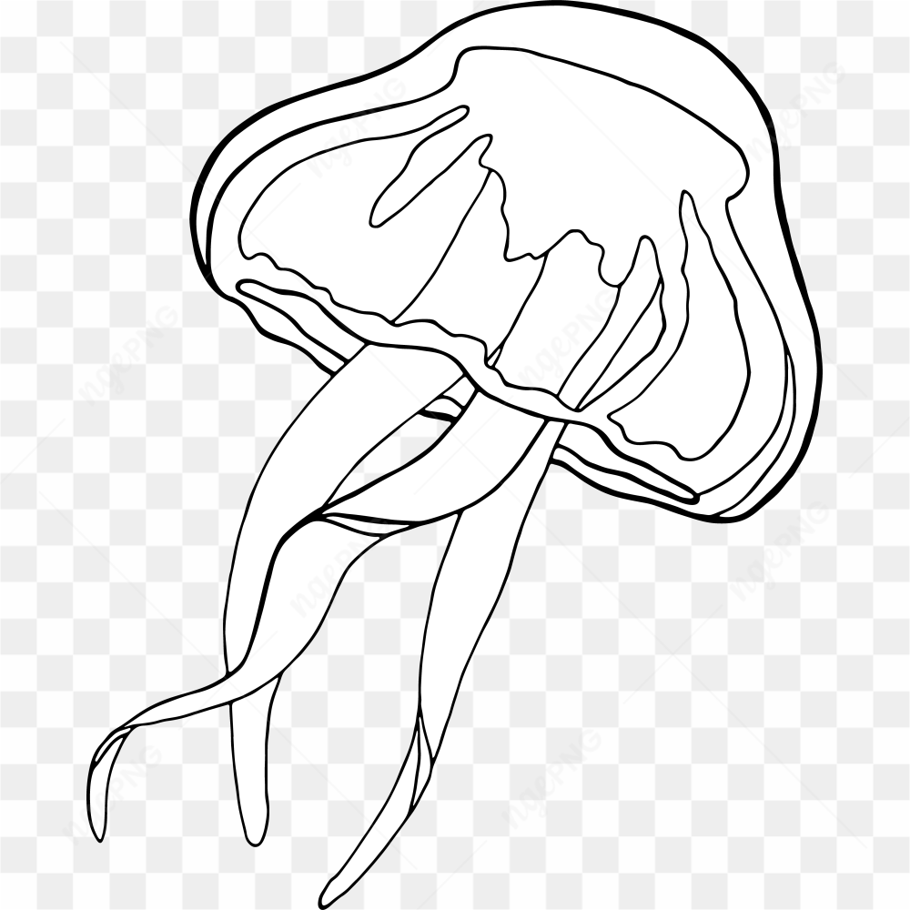 Underwater Animal 7