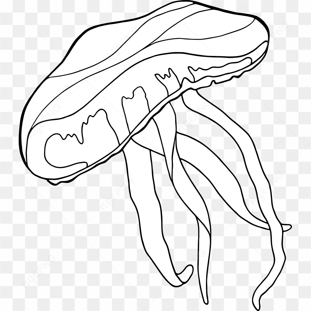 Underwater Animal 9