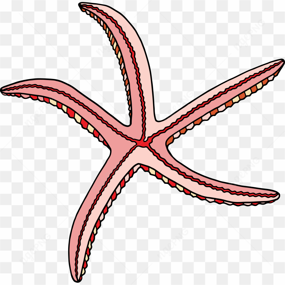 Underwater Animal 25