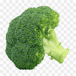All kind of vegetables