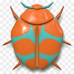 A multicolored beetle