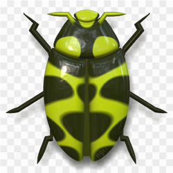 A lady bug