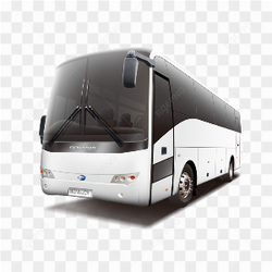 Public Transport Bus