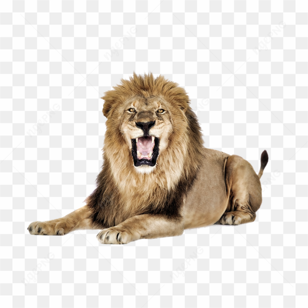 Majestic Lion Portrait