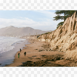 Along the shores