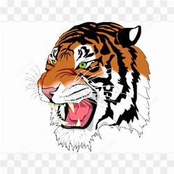 Animated Tiger Illustration