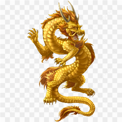  Chinese Dragon Illustration