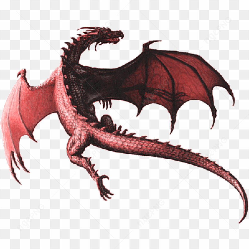 Dragon Illustration Art