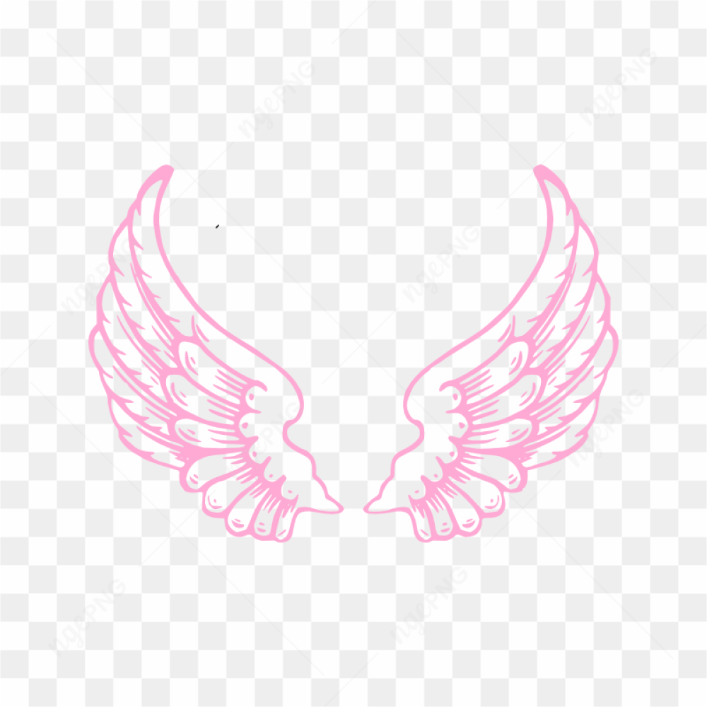 Angel Wings Illustration