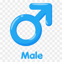 Gender symbol. meaning of sex males on transparent background PNG