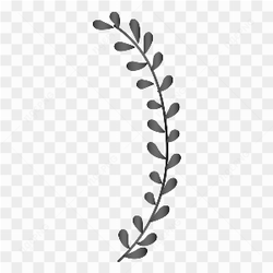 Hand drawn leaves of tree on transparent background PNG