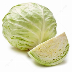 Raw white cabbage