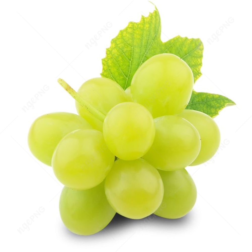 Bunches of green grapes