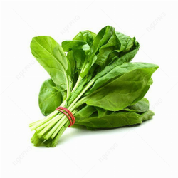 Bunch of spinach