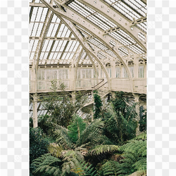 I love indoor vegetation