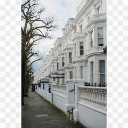 White as snow street