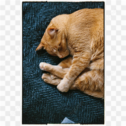 Its sleeping time
