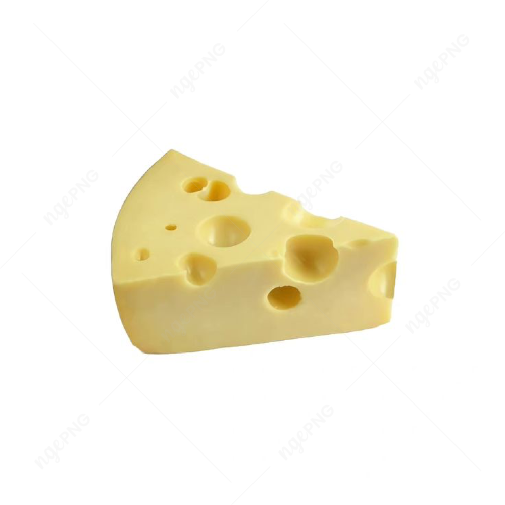 Hard Maasdam cheese