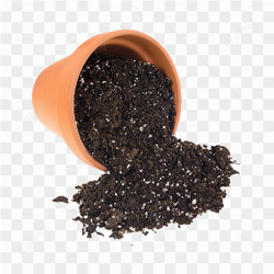Soil of the planting fell
