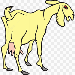 Yellow goat red eyes