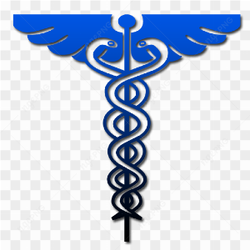 Nursing logo png
