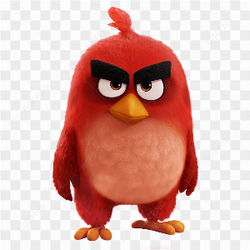 Angry bird red