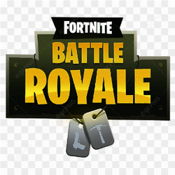 Fort nite battle royal