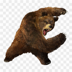 Angry big bear