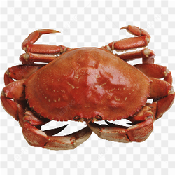 Big crab red