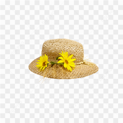 Chapu feminino floreado