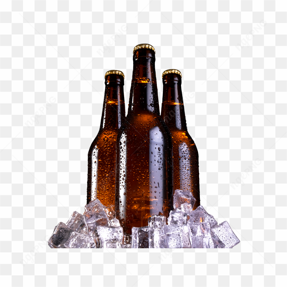 GARRAFAS DE CERVEJA