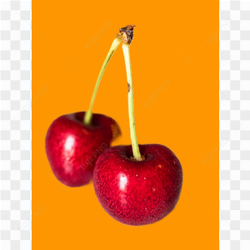 Fresh Red Cherries