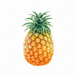 Fresh Yellow Pineapple